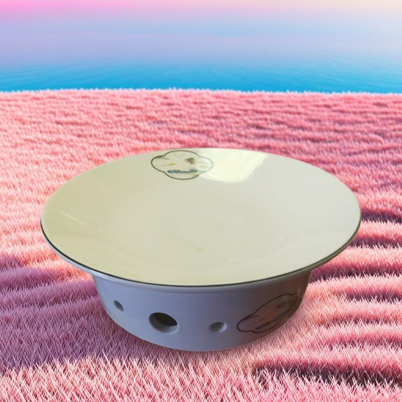 

Commercial Ceramic Hot Dish Serving Plate with Warmer