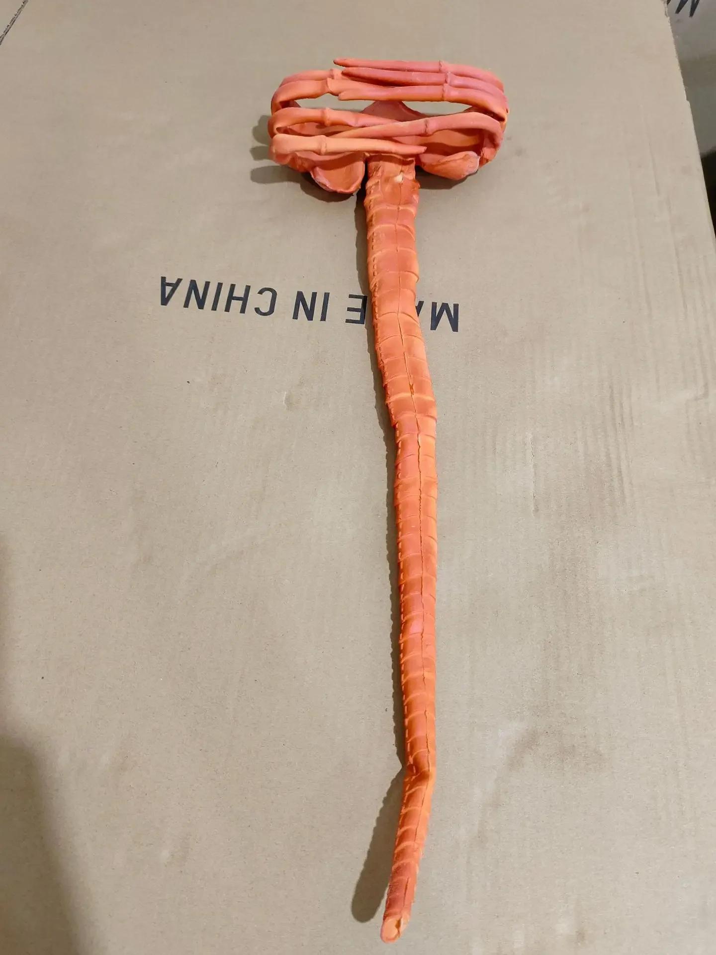 

Genuine special-shaped contract face-grabbing bug 1:1 model face-hugging bug, figure model, face-hugging