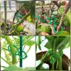 Climbing Plant Support Clips - Figure-Eight Garden Buckles for Stem Support and Vine Fixing