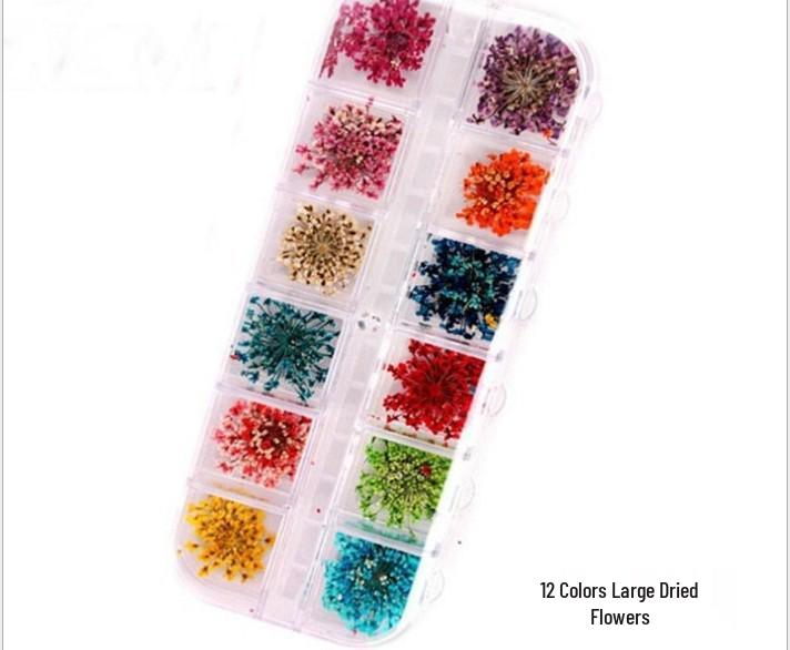 Nail Art 3D Real Dried Flowers - 12 Colors Lace Design