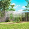 Greenhouse, winterproof, foil greenhouse with Arched roof, ground anchor greenhouse 400 x 123 x 171cm Transparent