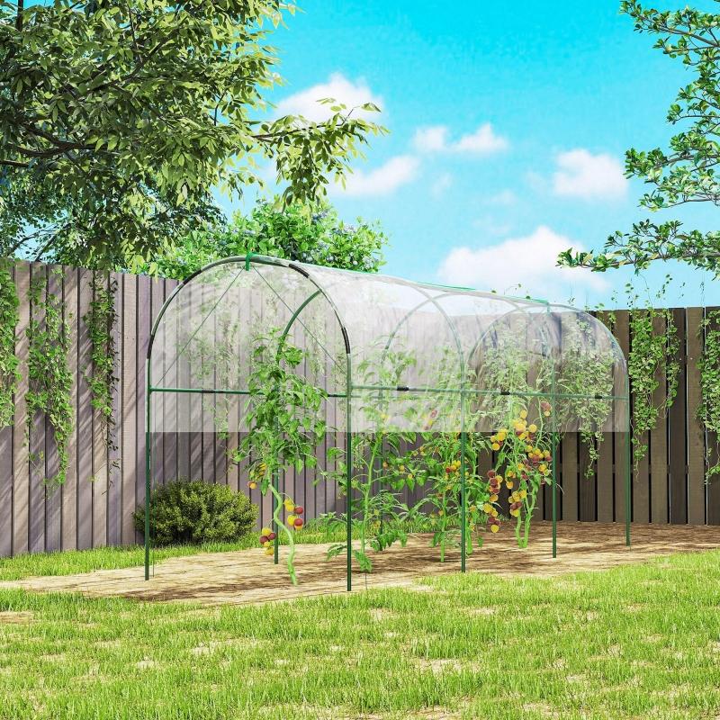 Greenhouse, winterproof, foil greenhouse with Arched roof, ground anchor greenhouse 400 x 123 x 171cm Transparent