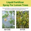 Professional Lemon Tree Spray Fertilizers Concentrate for Plant and Flowers