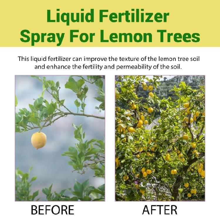 Professional Lemon Tree Spray Fertilizers Concentrate for Plant and Flowers
