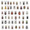 10/30/50pcs Transparent Insect Graffiti Stickers Realistic Beetle Decals DIY Laptop Journal Notebook Reward Cool Cartoon Sticker