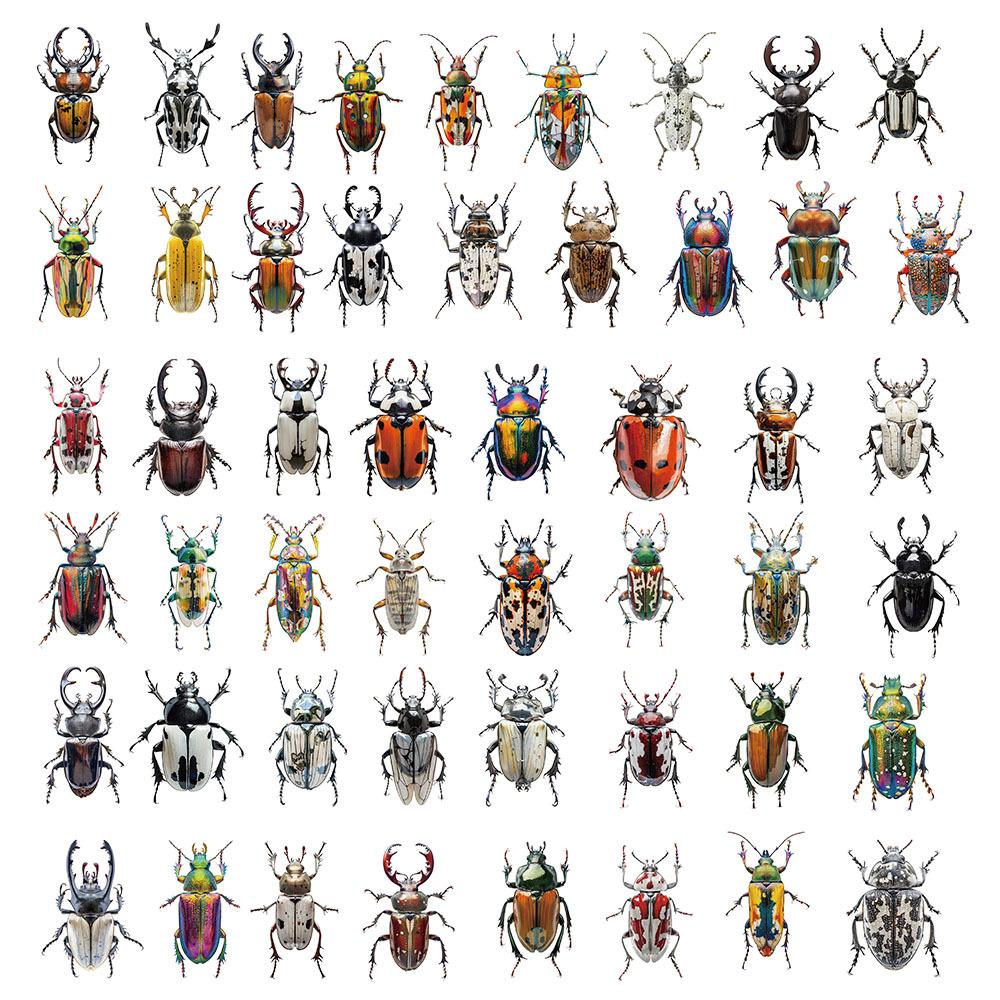 10/30/50pcs Transparent Insect Graffiti Stickers Realistic Beetle Decals DIY Laptop Journal Notebook Reward Cool Cartoon Sticker