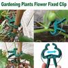 Durable Plastic Garden Plant Support Clips - Green Lever Ring Clips for Vines, Ideal for Organizing Stems & Branches, with Bonus Tomato & Cucumber
