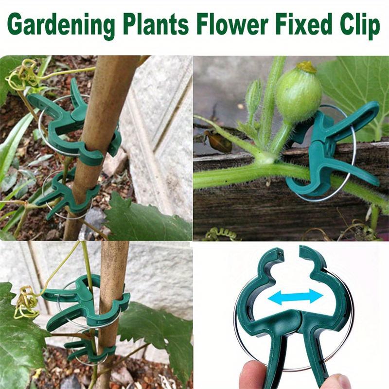 Durable Plastic Garden Plant Support Clips - Green Lever Ring Clips for Vines, Ideal for Organizing Stems & Branches, with Bonus Tomato & Cucumber