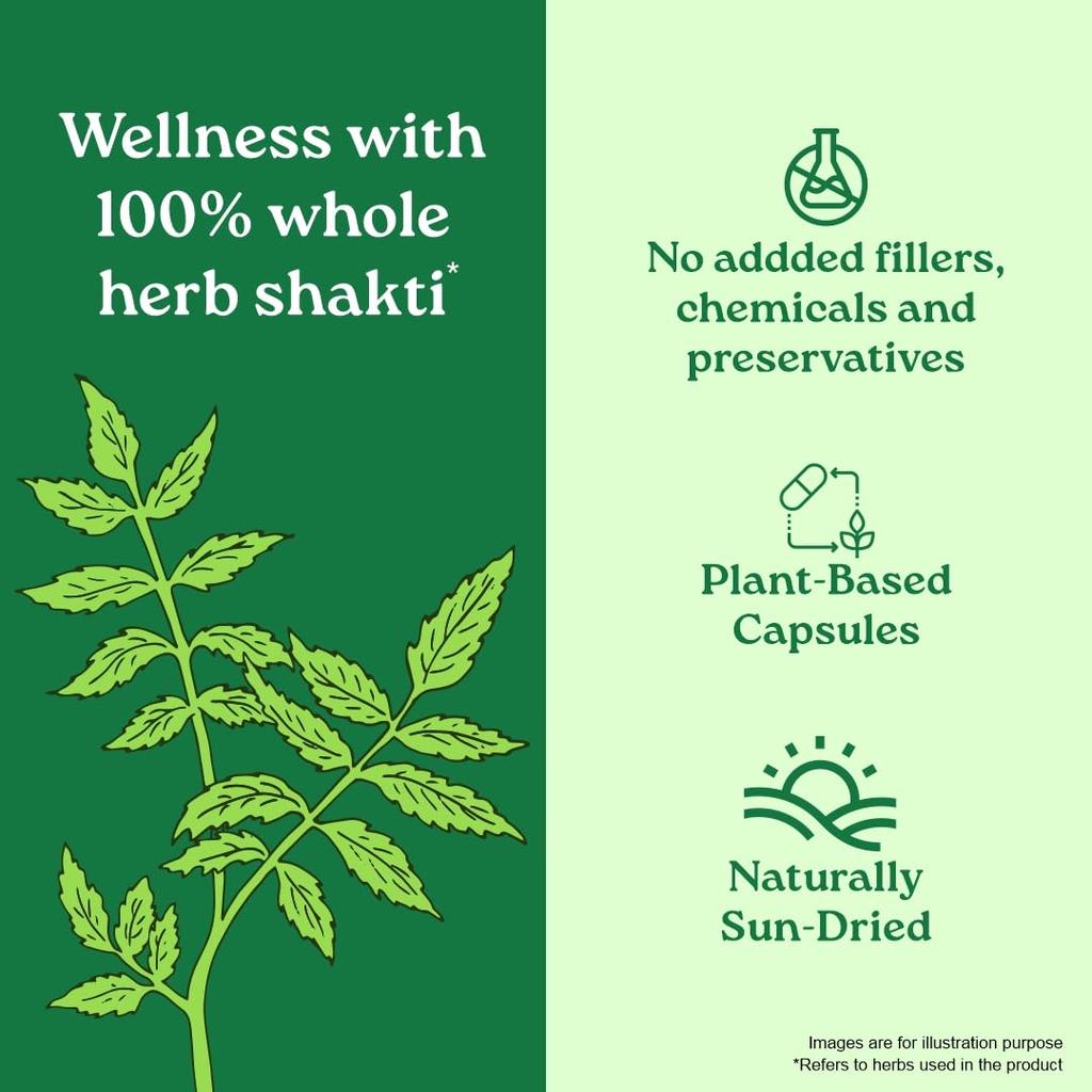 ORGANIC INDIA Neem Veg 60 Capsules For Skin Wellness And Daily Herbal Support 60 Count Natural Plant-Based Supplement