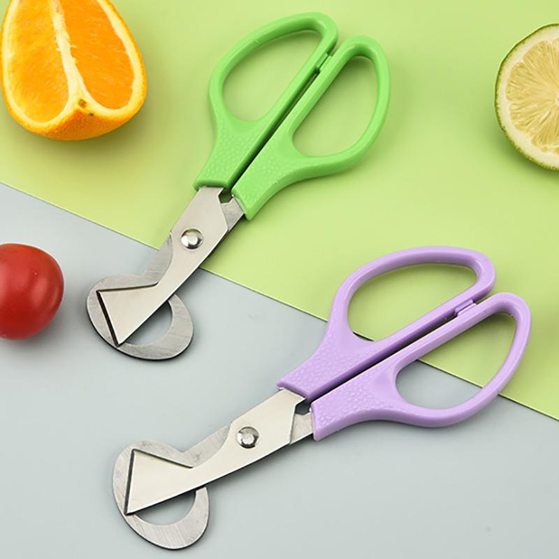 1Pc Stainless Steel Quail Egg Shell Scissors - Rust-Resistant Durable Kitchen Tool,  for Quail Egg Cutting & Cigar Trimming