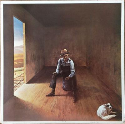 LP Record DON MCLEAN  Homeless Brother UALA315G United Artists  1974 Canada Blues Used
