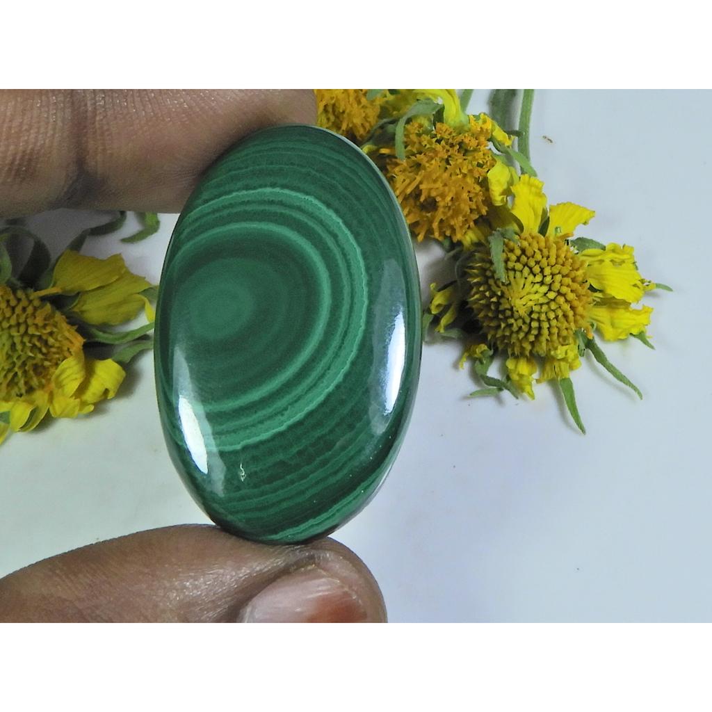 AA++ 55Cts. Natural Green Malachite Oval Cabochon Loose Gemstone 23X38X04 MM D-22