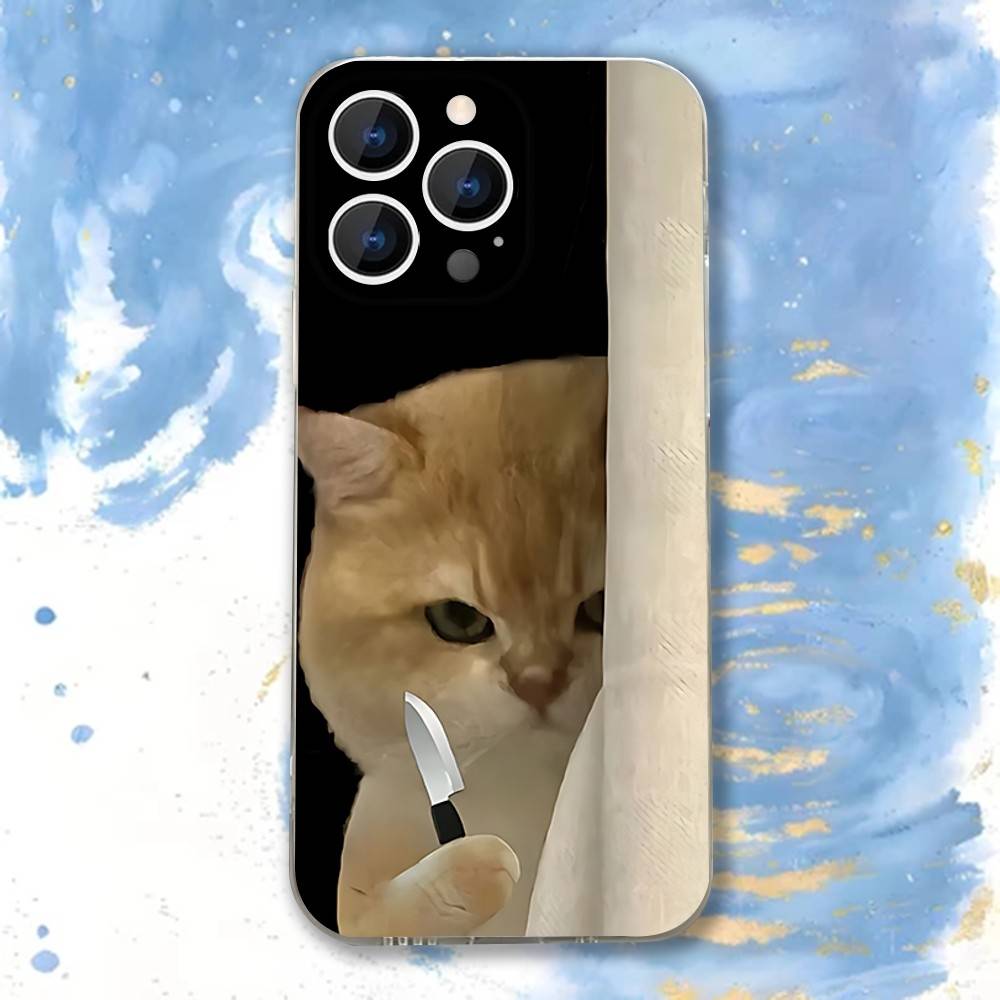 

Funny Selfie Cat Meme Mirror Phone Case for iPhone 17 16 15 14 13 12 11 Series Pro Max Plus Double Layer Protection iphone 15 ProMax