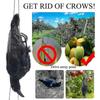 Lifesize dead crow decoration for haunted attractions