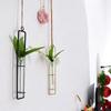 Transparent Test Tube Vases Wall Hanging Glass Vase Hanging Glass Planter  Indoor