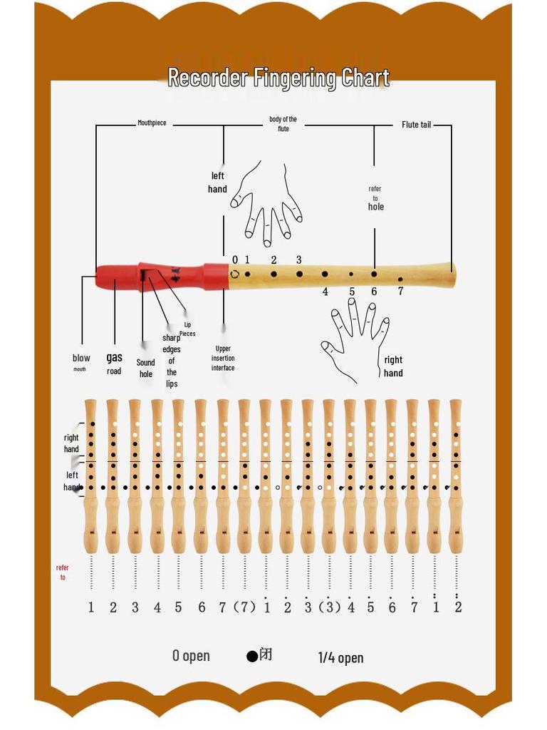 German-Style 8-Hole Treble and Alto Recorder for Beginners and Students