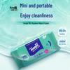 Tempo Antibacterial Wet Wipes