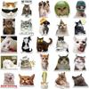 50PCS Funny Cat Sticker Creative Diy Laptop Case Water Bottle Sticker