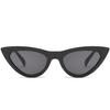 Cycling Glasses Fishing Glasses Retro Vintage Sunglasses Cateye Goggles Sexy