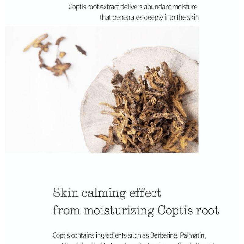 Pyunkang Yul - Moisture Ampoule 100ml