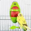 Budgie Foraging Station: Cuttlebone Holder & Toy with Fruit & Veggie Options