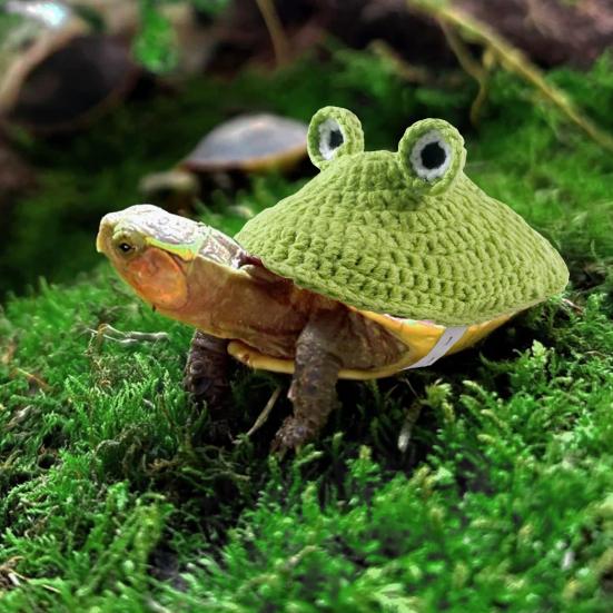 Turtle Sweater Handmade Knitted Warm Turtle Outfit Cartoon Frog Design Costume with Adjustable Strap for Turtles Tortoises Halloween Cosplay