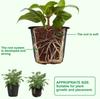 40 Packs Black Plastic Orchid Pot 4 Inches Indoor Planter Seed Starting Pot Flower Plant