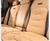 Ford Car Seat Cushion for Focus, Edge, Ruiqi, Lingrui, Explorer - All Seasons Seat Cover