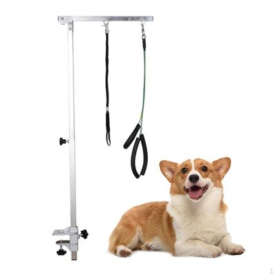 Perros – Collares y correas