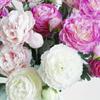 4pcs Premium Artificial Peony Bouquets with Stems - Advanced Antioxidant, Realistic Home & Office Decor, Ideal for Wedding, Birthday