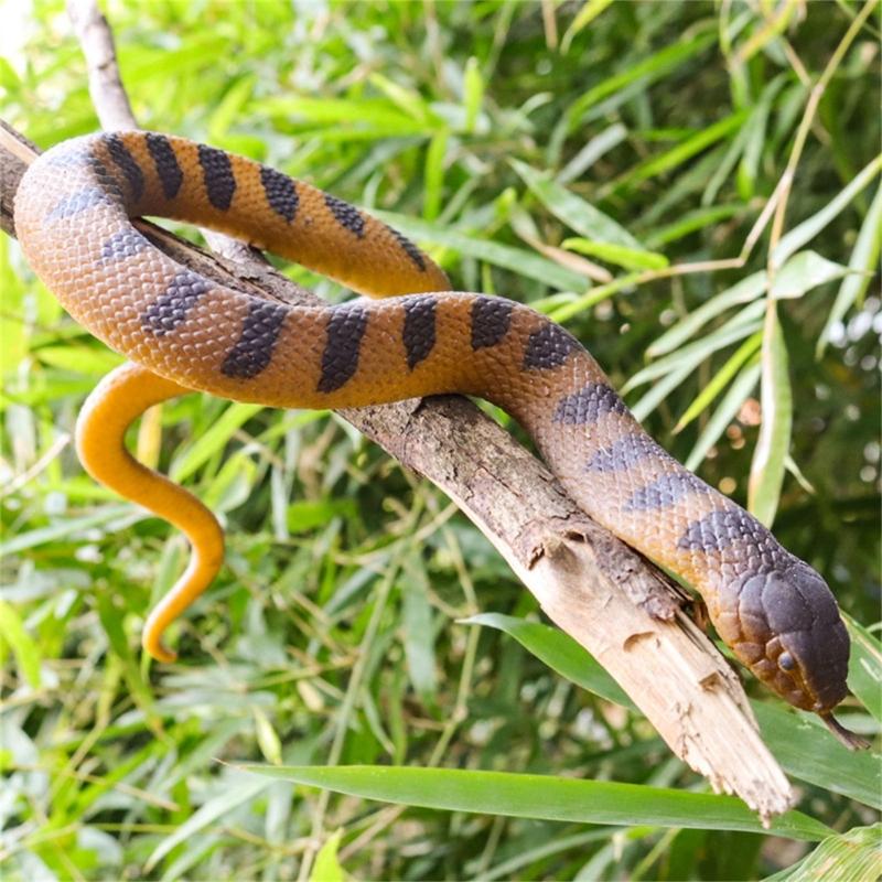 Weiches Gummischlangenmodell Realistisches Schlangen-Actionfigur-Spielzeug Solide Schlangenfigur für Halloween-Streich und Stressabbau