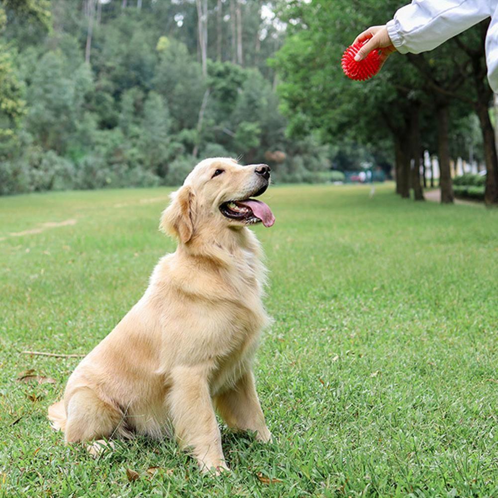 Chewers For Golden Retriever Large Dogs Hedgehog Ball Interactive Toys Spikey Balls Dog Balls