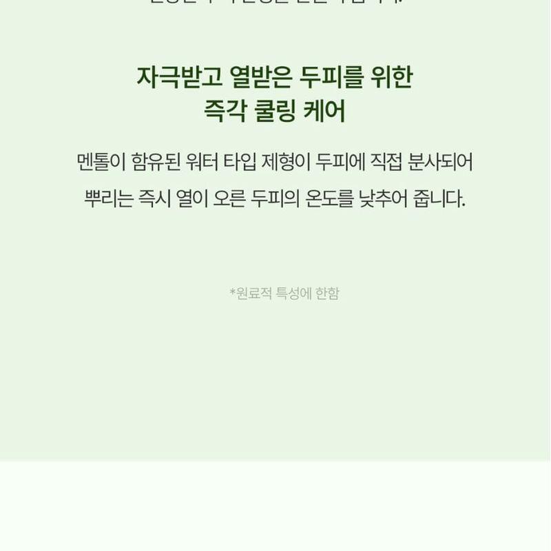 STEAMBASE - Tea Tree Scalp Healing Tonic