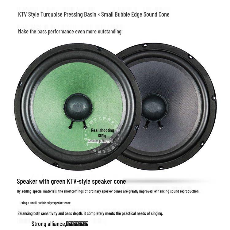8" 10" 12" Dual Magnet Woofer Speaker Box for KTV Karaoke