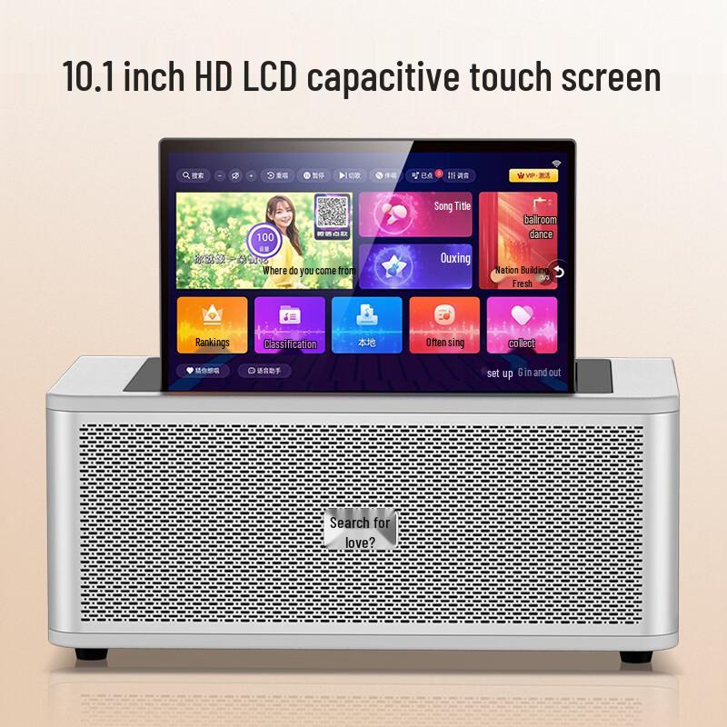 Soaiy SA-K2501 Home KTV Audio System with Microphone CN Plug (adapter Included)