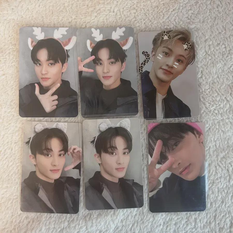 Ncitydream Nct 127 Mark Photocard Batch