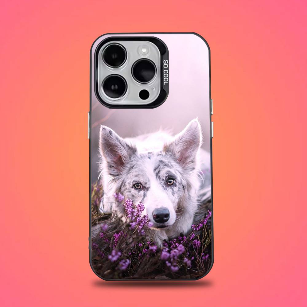 Border Collie Dog Phone Case For iPhone 16,15,14,13,12,11,Pro,Max,Plus,Mini,XS,SE Anti Fall Black Matte Hard Bumper