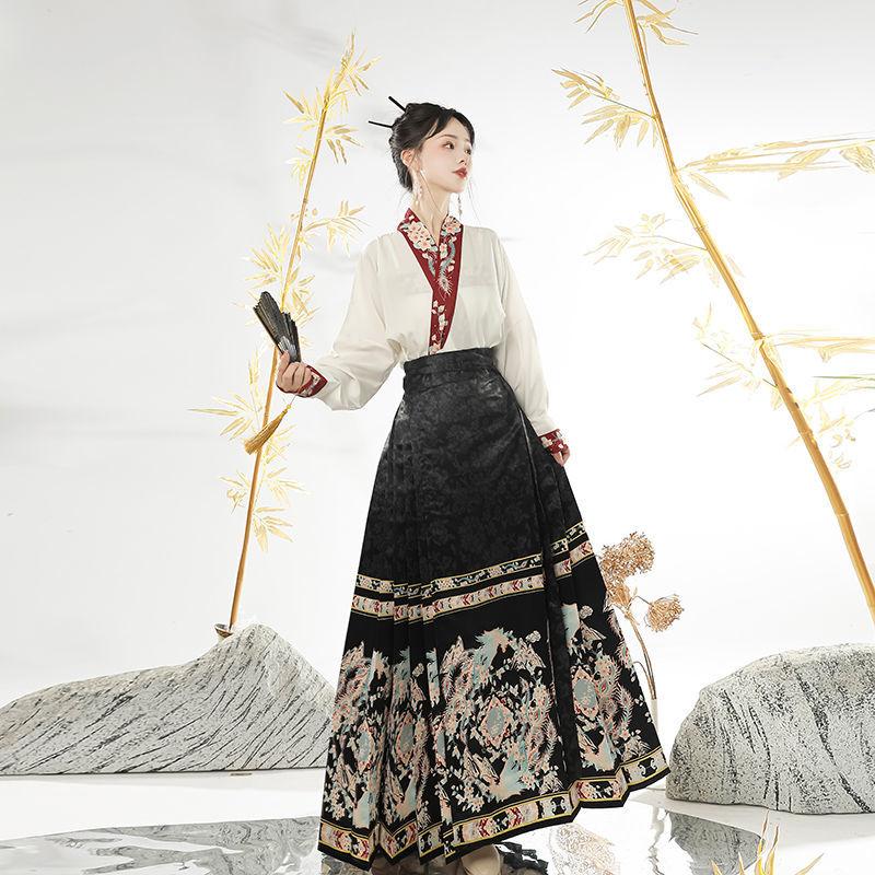 Chinesischer Rock im Pferdegesichtsstil der Ming-Dynastie für Damen, Anzug für den täglichen Weg zur Arbeit