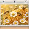 1 piece vibrant bee and Daisy floral background - beehive and white Daisy photo booth prop studio shot
