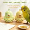 Recording Parrot Teach Talking Bird Shape Voice Recorder Keychain Funny Bird Training Toy  Gifts