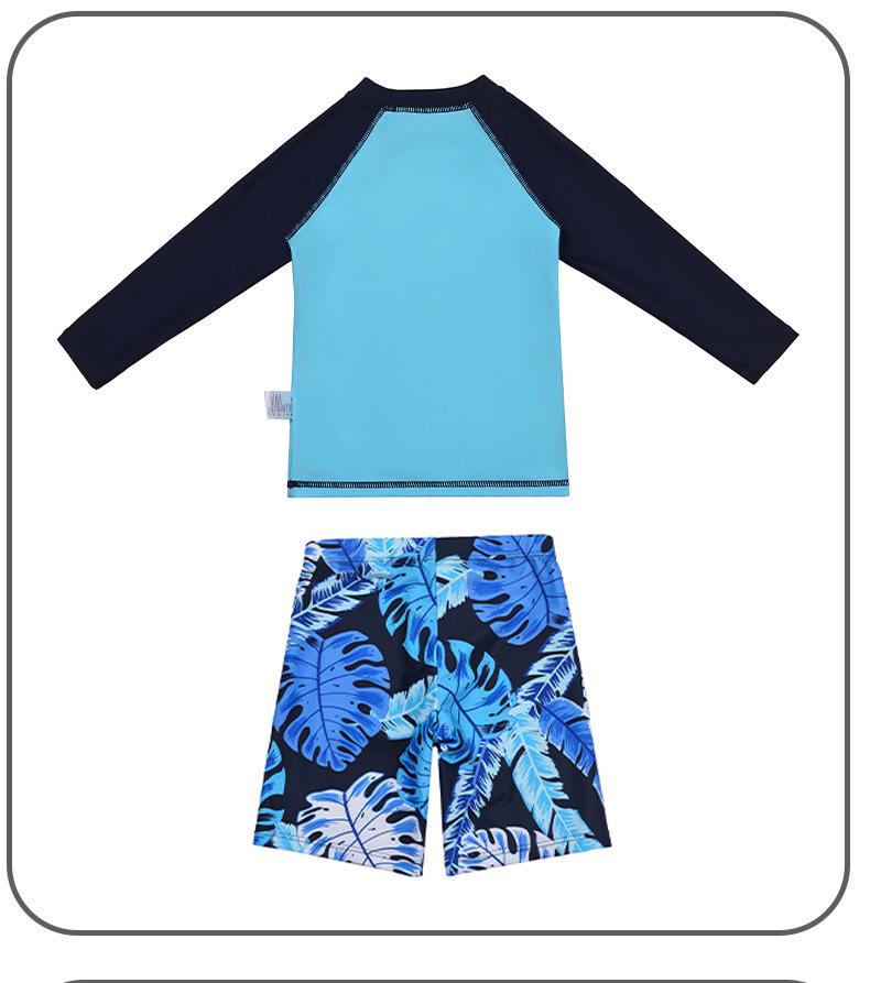 Korean Style Boys' Dinosaur Long-Sleeve Two-Piece Swimsuit with Sun Protection, Quick-Drying, for Older Children.
