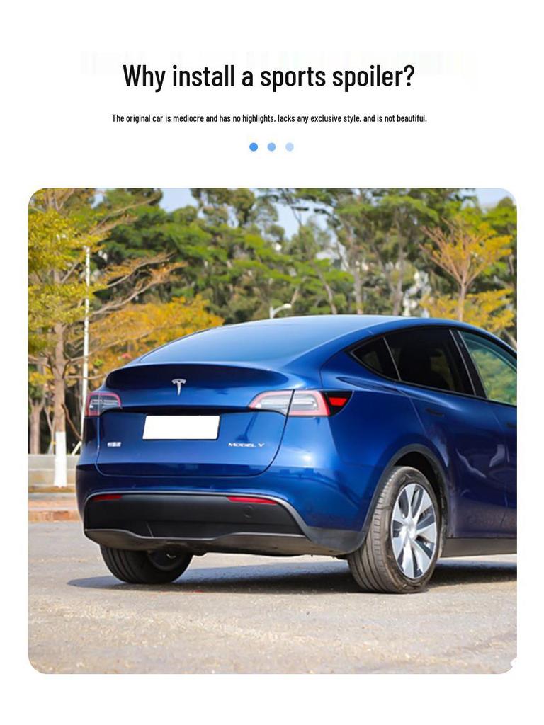 Tesla Model Y/3 Rear Wing: High-Performance Blow-Molded Spoiler for P Version
