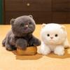 Cute Realistic Animal Plush Toys, Dolls, Children's Comfort Dolls, Girls' Birthday Gifts
