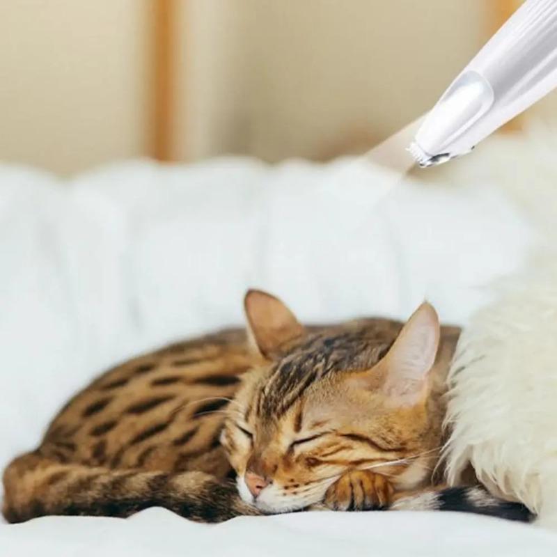 Tragbarer LED Haustierpflege-Haarschneider Hund Katze Pfote Fuß Haartrimmer Elektrische Haarschneidemaschine Nagelschneidewerkzeug Haustierhaarpflegegerät