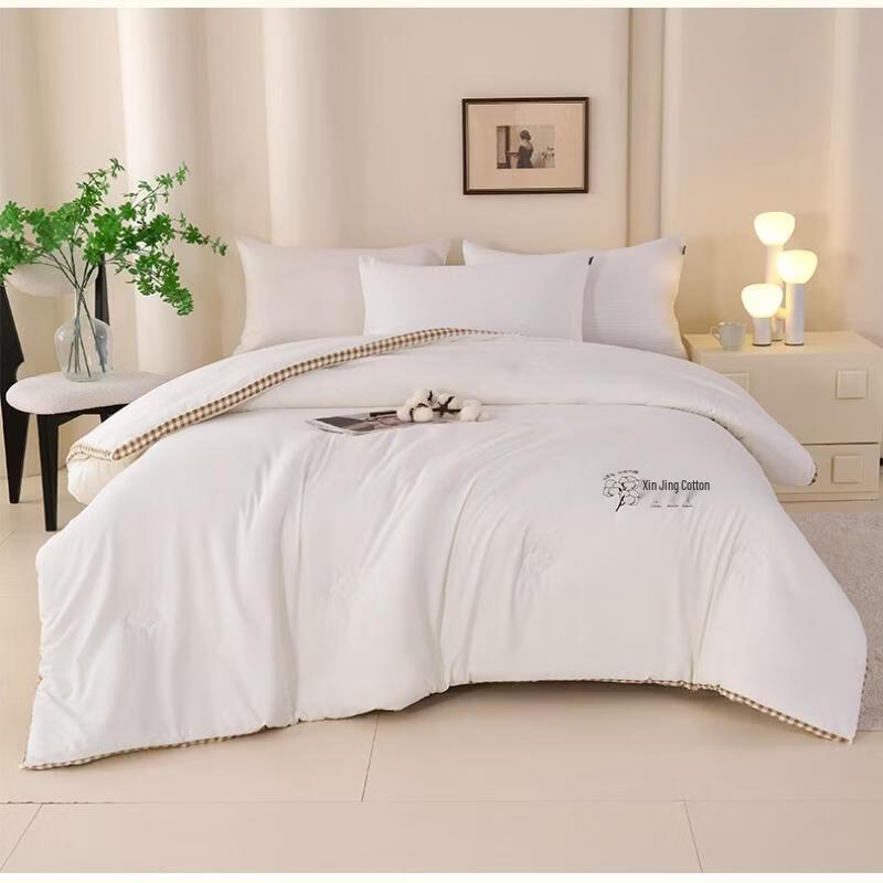 

LISM All-Season Xinjiang Cotton Duvet Insert