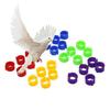 100 Buc Clipuri Picior Păsări Plastic Extensibil Inofensiv Culoare Mixtă 8mm Inel Picior Porumbel pentru Animal de Companie