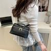 Niche Handbag Women's Box Bag 2025 New Aesthetic Design Sense Advanced Texture Hand Carry Shoulder Messenger Bag