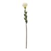 Hill Interiors Pincushion Protea Spray Artificial Flower