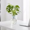 Double Layer Self Watering Planter Plastic Transparent Flower Pot With Holes For Living Room Orchid Succulents