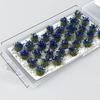 Simulation Small Grass Model Diy Building Static Tuft Toys Miniature Flower Cluster  Sand Table
